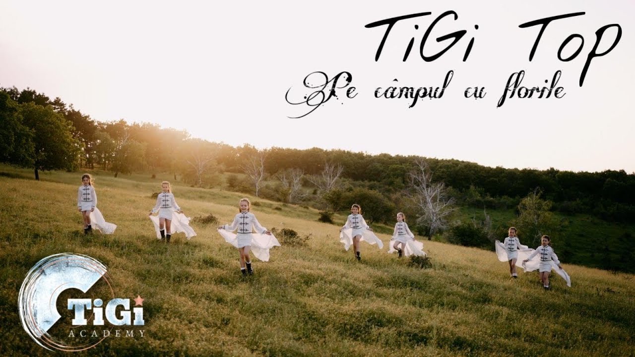 TiGi Top (TiGi Academy) - Pe câmpul cu florile
