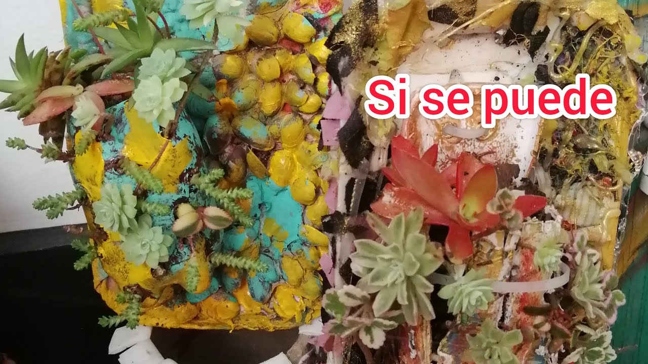 Cómo hacer cuadro plantil #plantas #suculentas #plants 