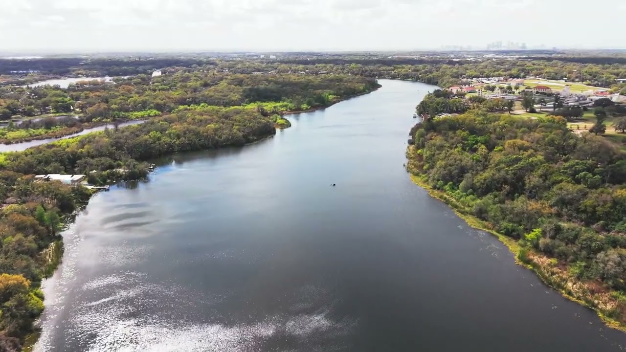 Rowlett Park, Tampa  FL