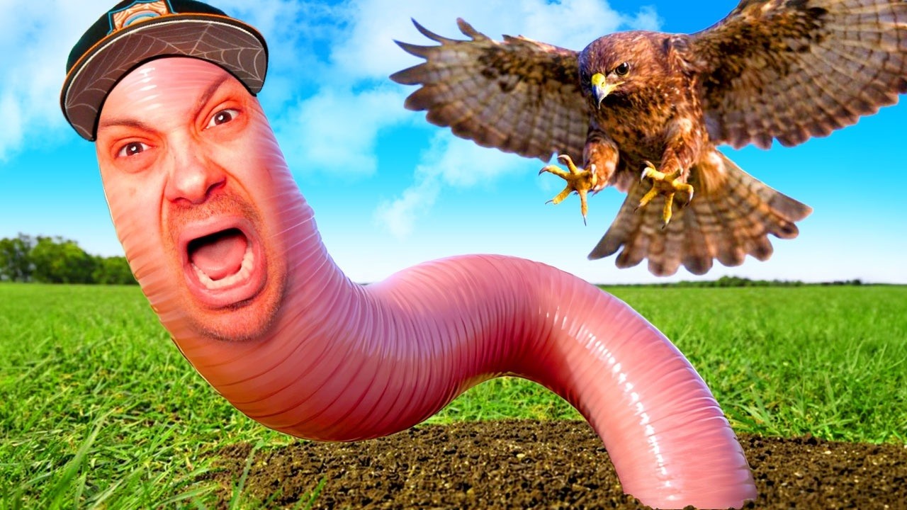 I'm a Worm!