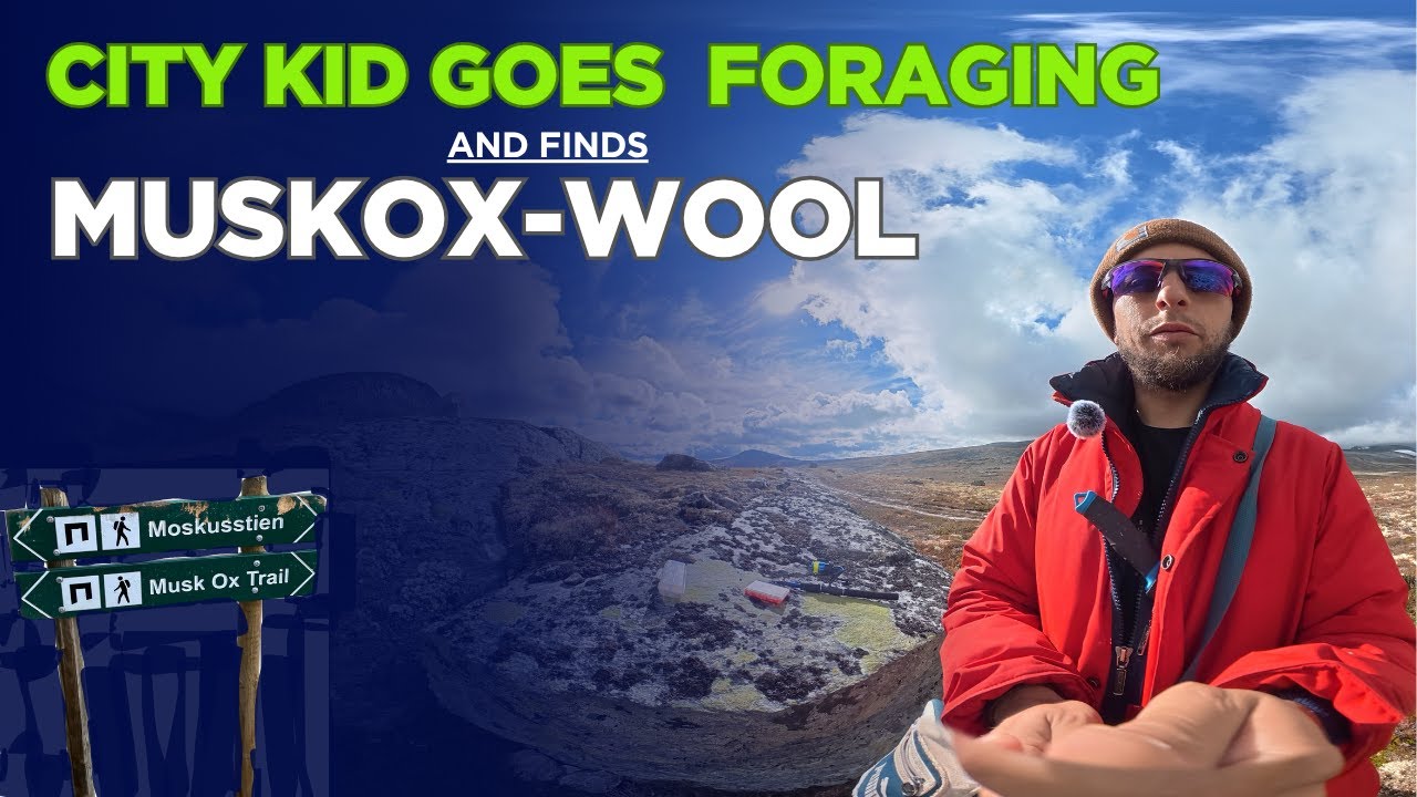 City Kid Goes Foraging in Norway and Finds Something Unreal 🦬🇳🇴