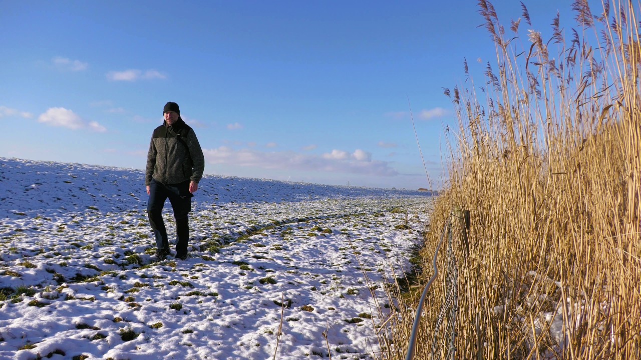 ❄️🦢🚢 Winterzauber am Ostedeich | Schwäne im Schnee & Containerschiff am Nord-Ostsee-Kanal