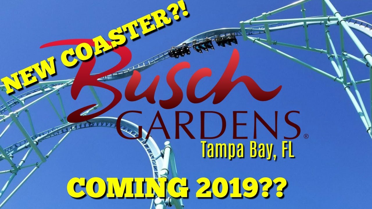 *NEW* Roller Coaster Coming To Busch Gardens Tampa In 2019?!