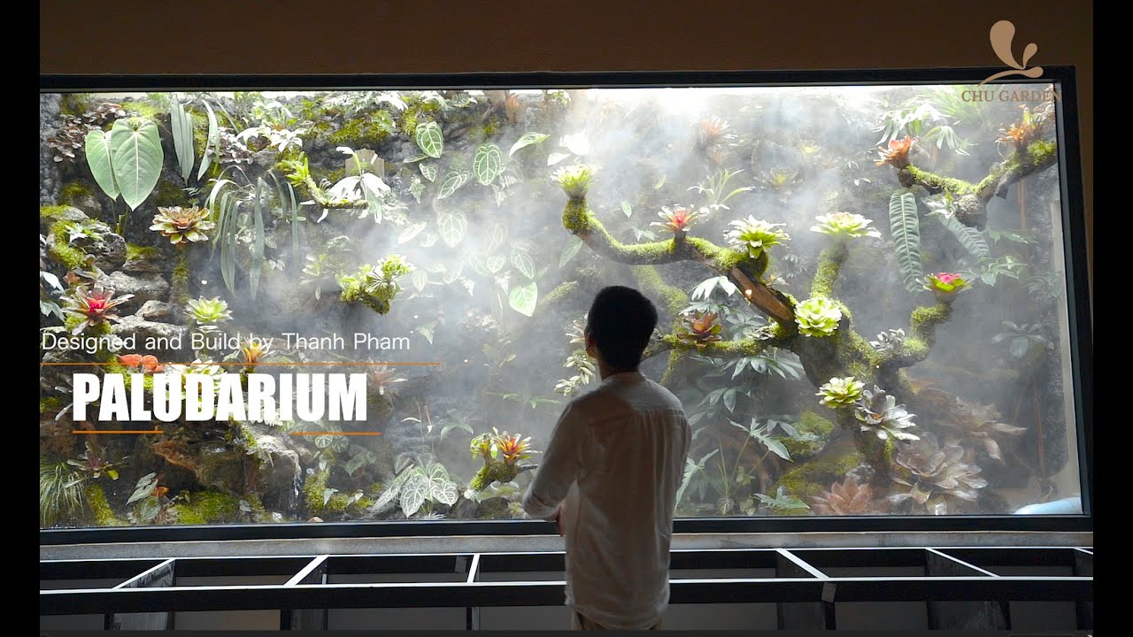Paludarium by Master Thanh Pham