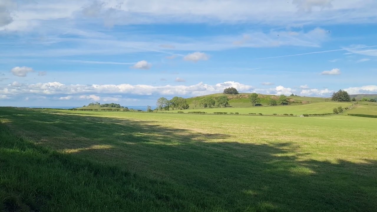 Birdsong from the edge of a wood in May in Shropshire