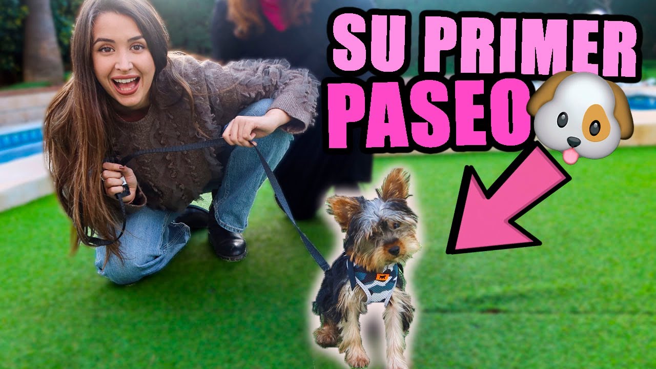 SACO A PASEAR A MI CACHORRO POR PRIMERA VEZ *Así reacciona el perro hacker a la calle*