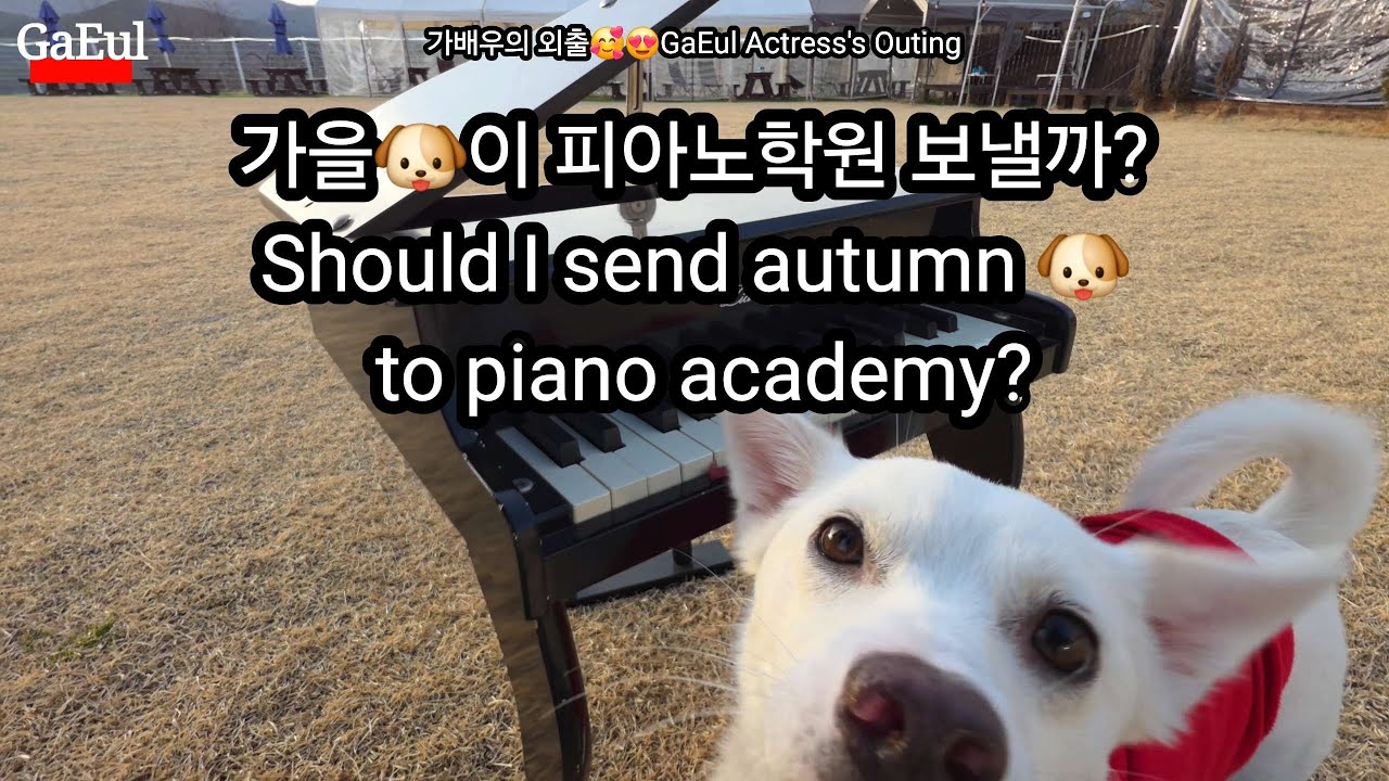 뛰어  가을🐶 너 뛰고싶은데로😝🤪😁😆😍🥰