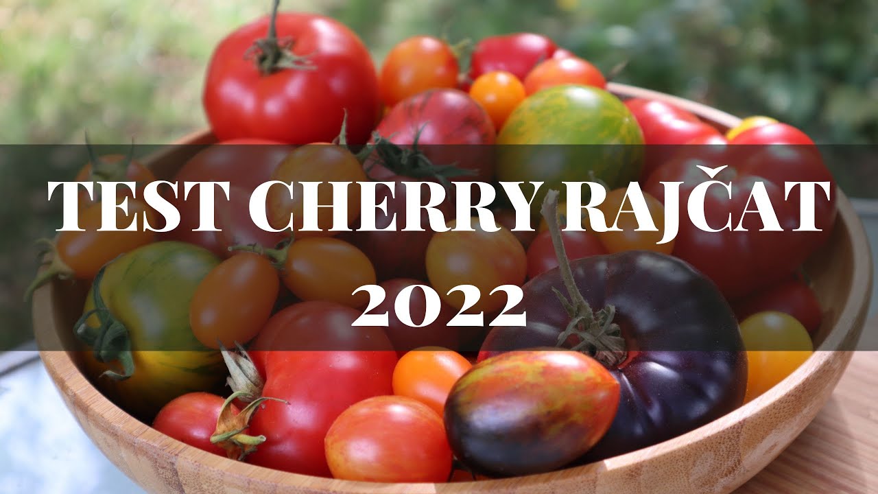 Test cherry rajčat 2022