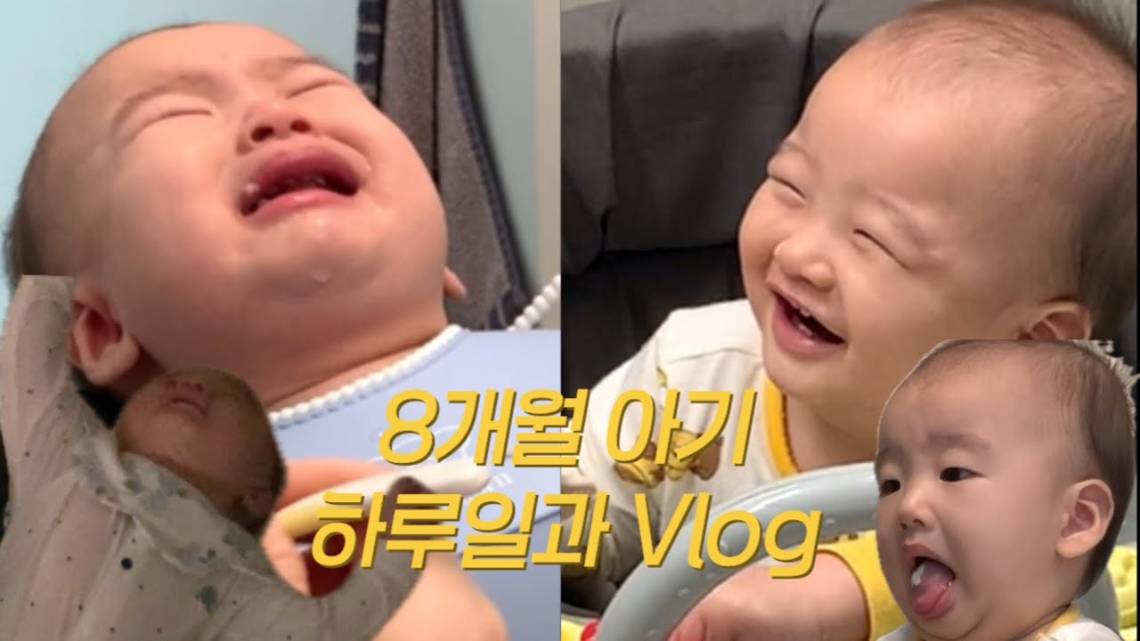 [Vlog] 8개월 아기는 하루종일 뭐할까? 엄마랑 하루일과 육아 브이로그📹