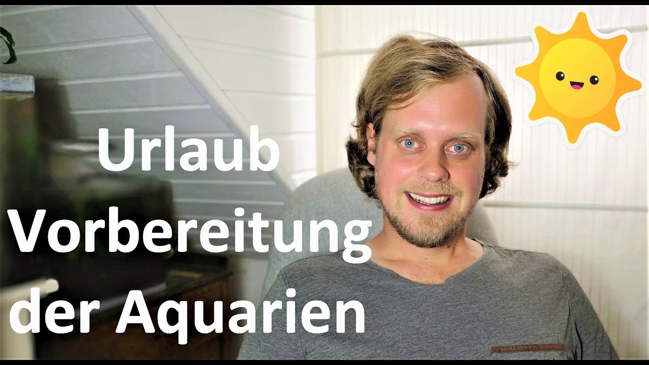Aquarien während der Urlaubszeit - Wie bereite ich meine Aquarien vor?