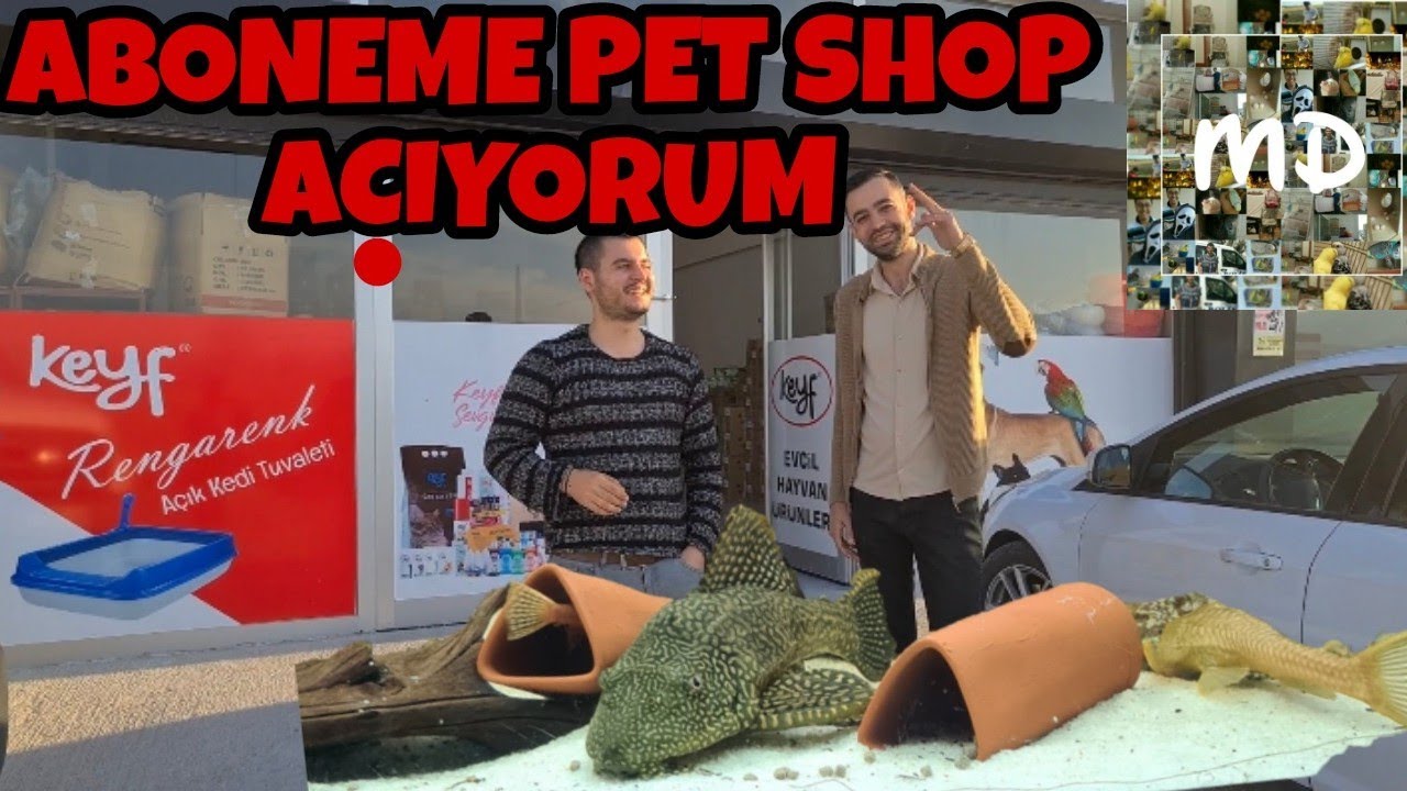 pet shop toptancisina geldim aboneme pet shop aciyoruz