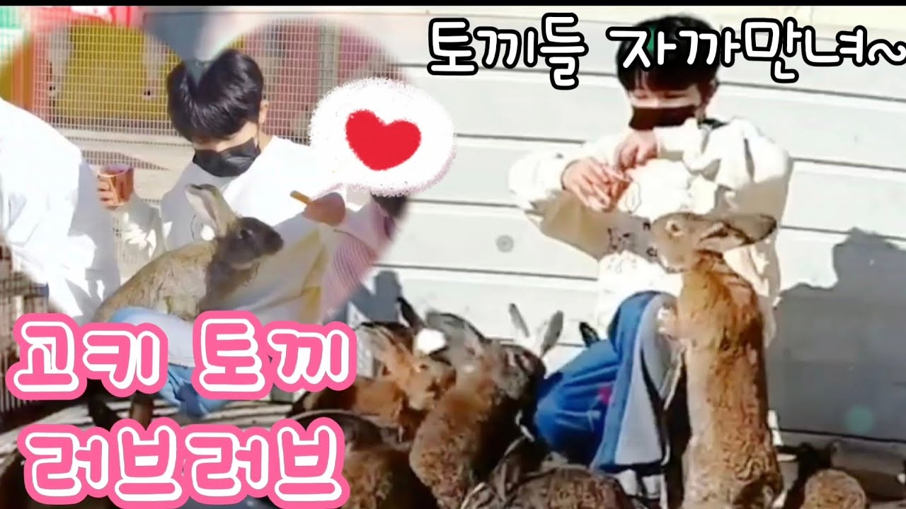 고키 토끼 러브러브 🐾💓 / コキ🐥トキ🐰ラブラブ