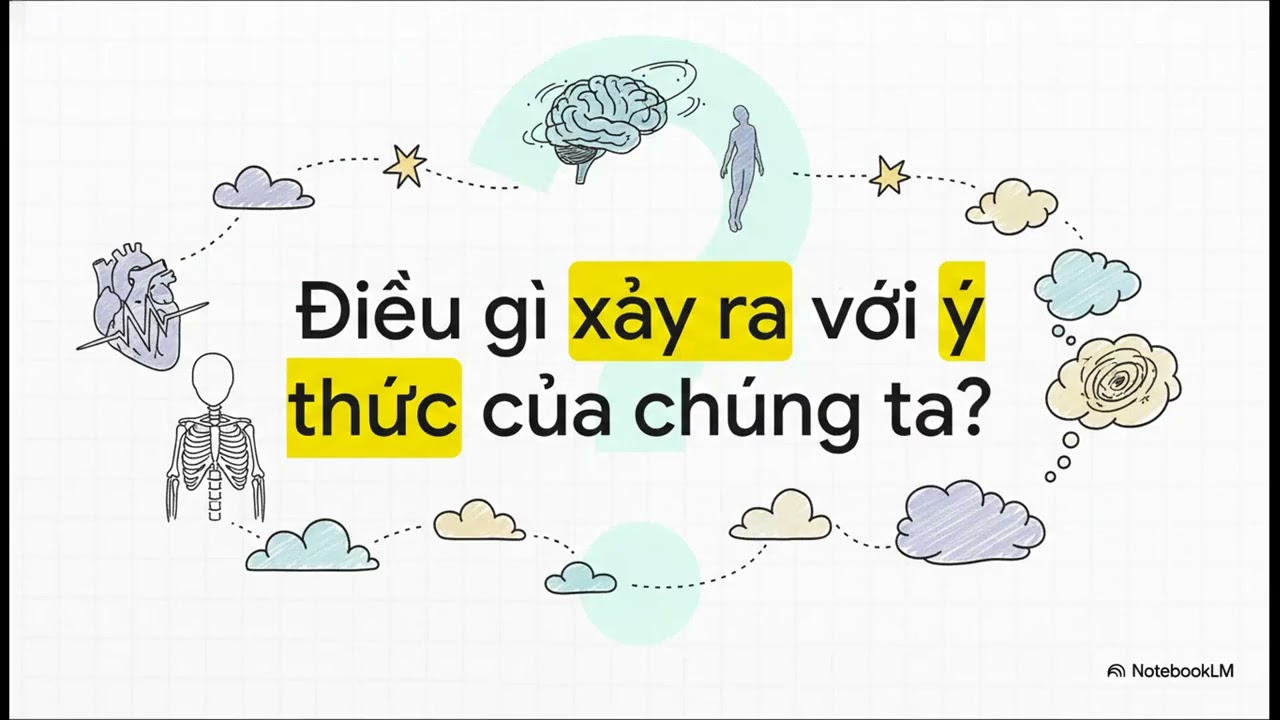 BÍ ẨN VỀ CÁI CHẾT| con người có cảm nhận về cái chết cận kề?