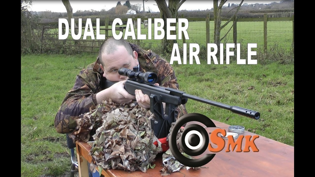 REVIEW: Beeman Dual Caliber Air Rifle .177 and .22 - X2 RS2