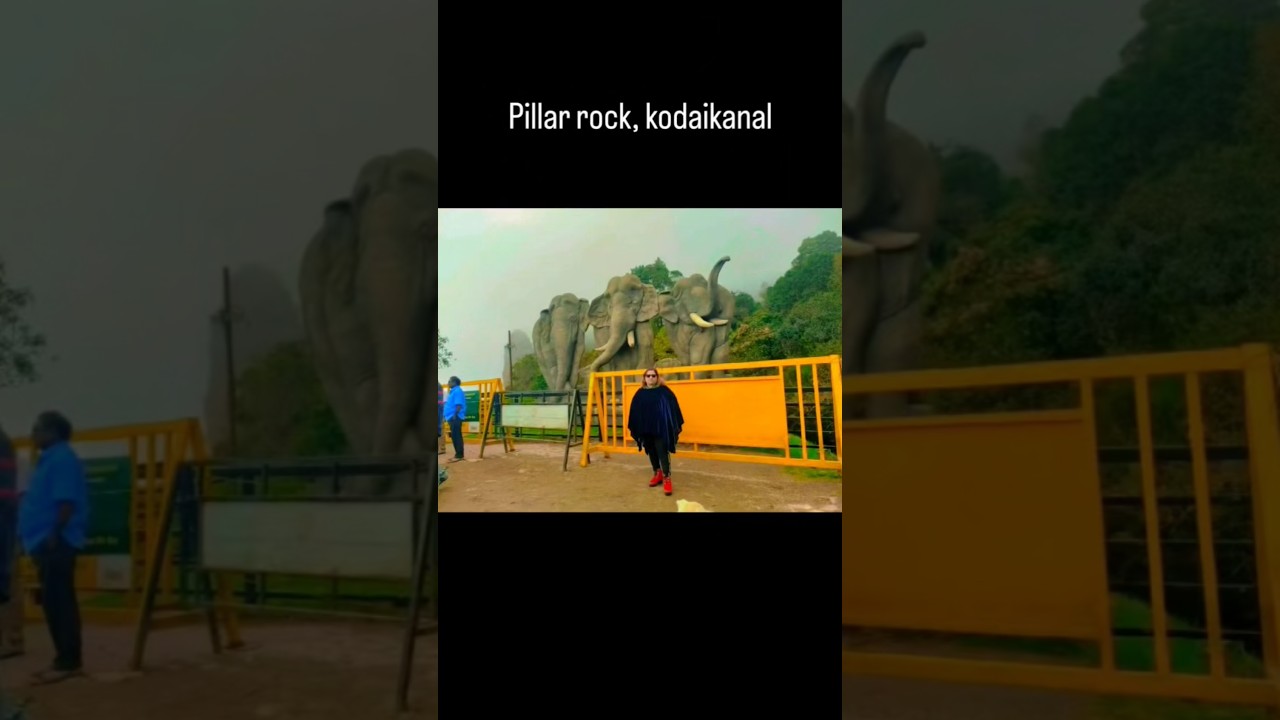 #short#shorts#youtube #swethasvllogs#youtubeshorts #shortsyoutube #swethasvllogs#hindi