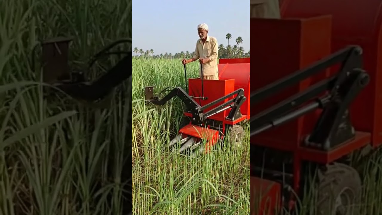 Smart Farming in Action 🚜 | Modern Sugarcane Tech Revolutionizing Crops