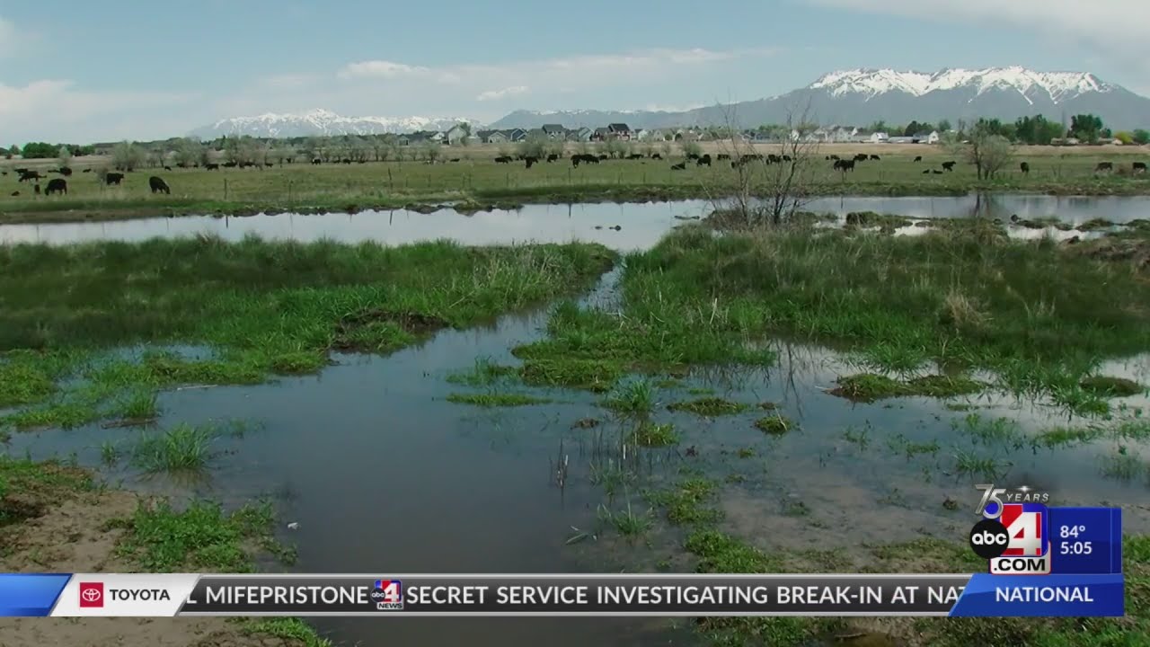 Man-made wetlands to clean water to send to Great Salt Lake