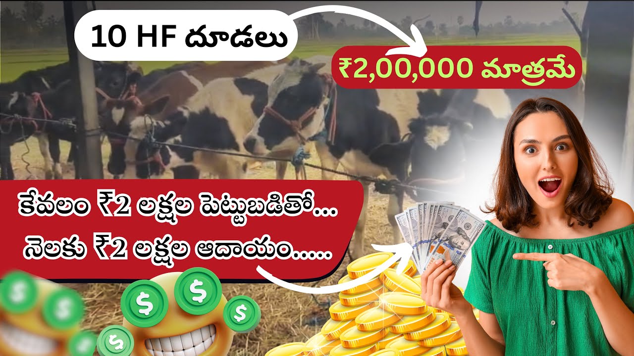 ₹2 Lakh Investment → ₹2 Lakh Income | 10 HF Calves Business | Telugu  #raithumitrudu 
