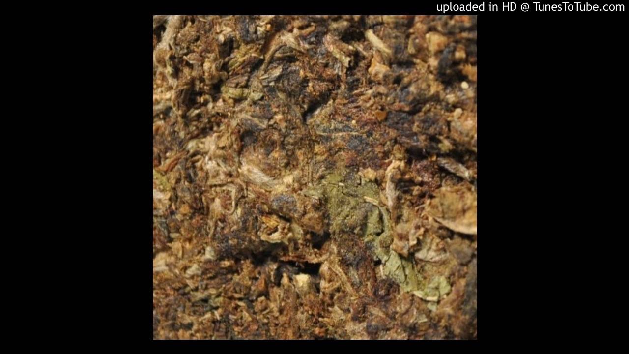 Porro sucio - El lapiz resinoso