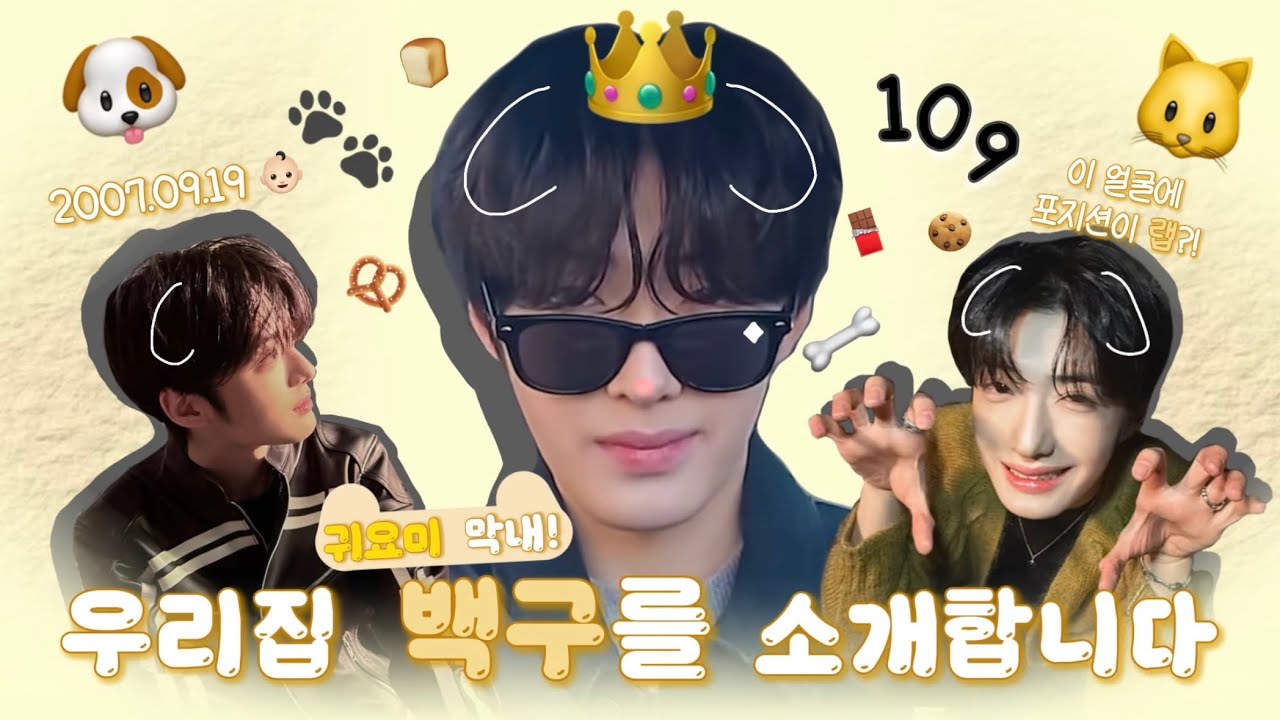 [정상현 입덕영상] 2026년은 정상현 어때?