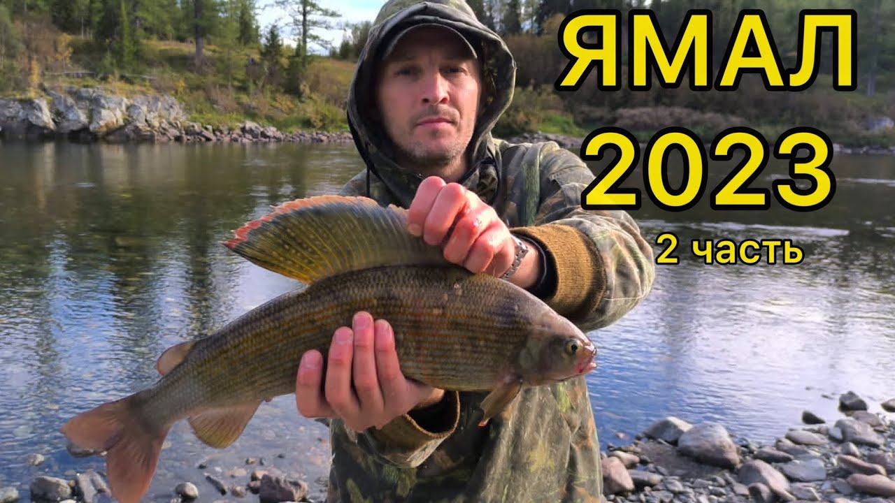 ЯМАЛ 2023 - поиски трофейного хариуса 2ч