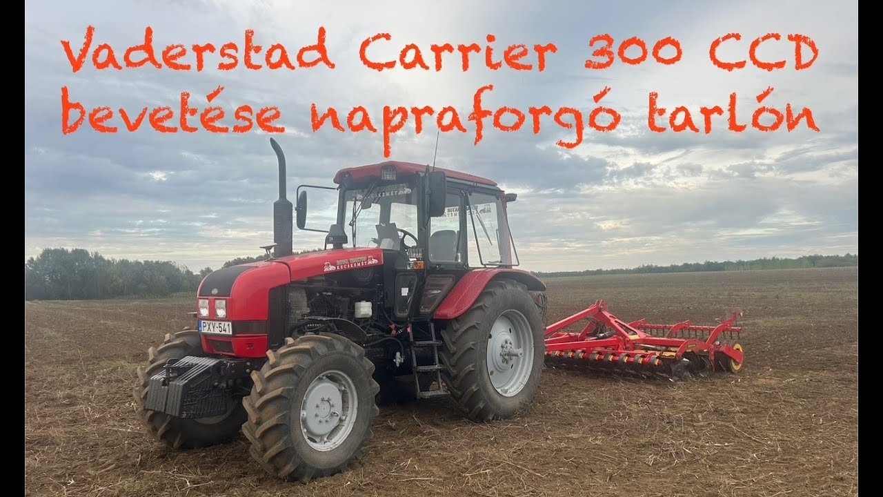 MTZ 1221.3 űzése.Vaderstad Carrier 300 Cross Cutter Disc lappal napraforgó tarlón.
