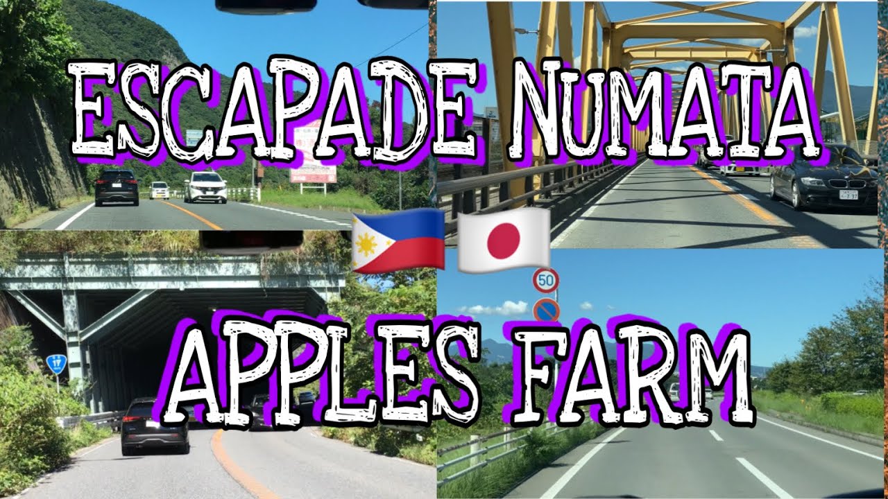 JAPAN VLOG | TRAVEL TO NUMATA KUYAHARAMACHI | Jannine Kuramoto Vlogs