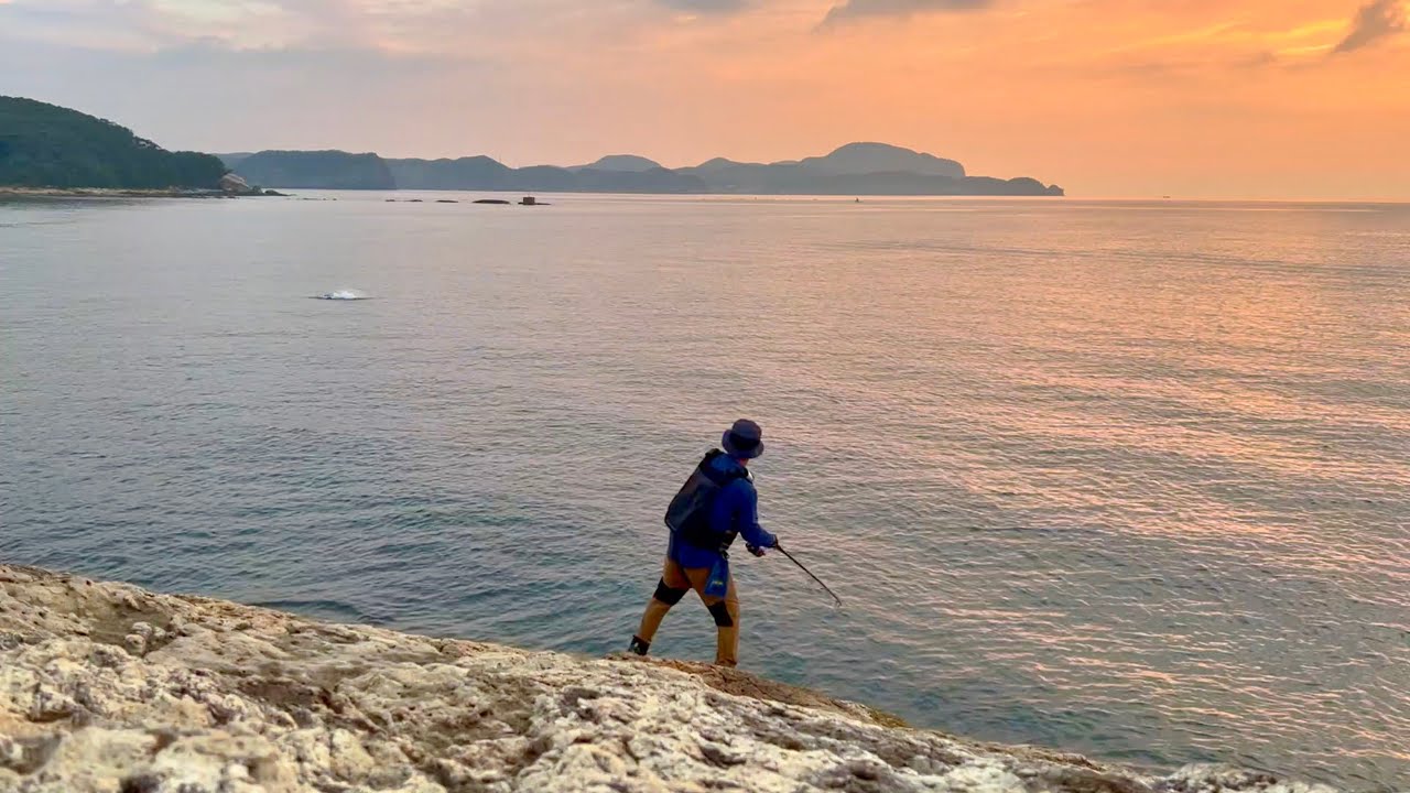 九州の離島「対馬」で陸から大型ヒラマサを狙ってみました