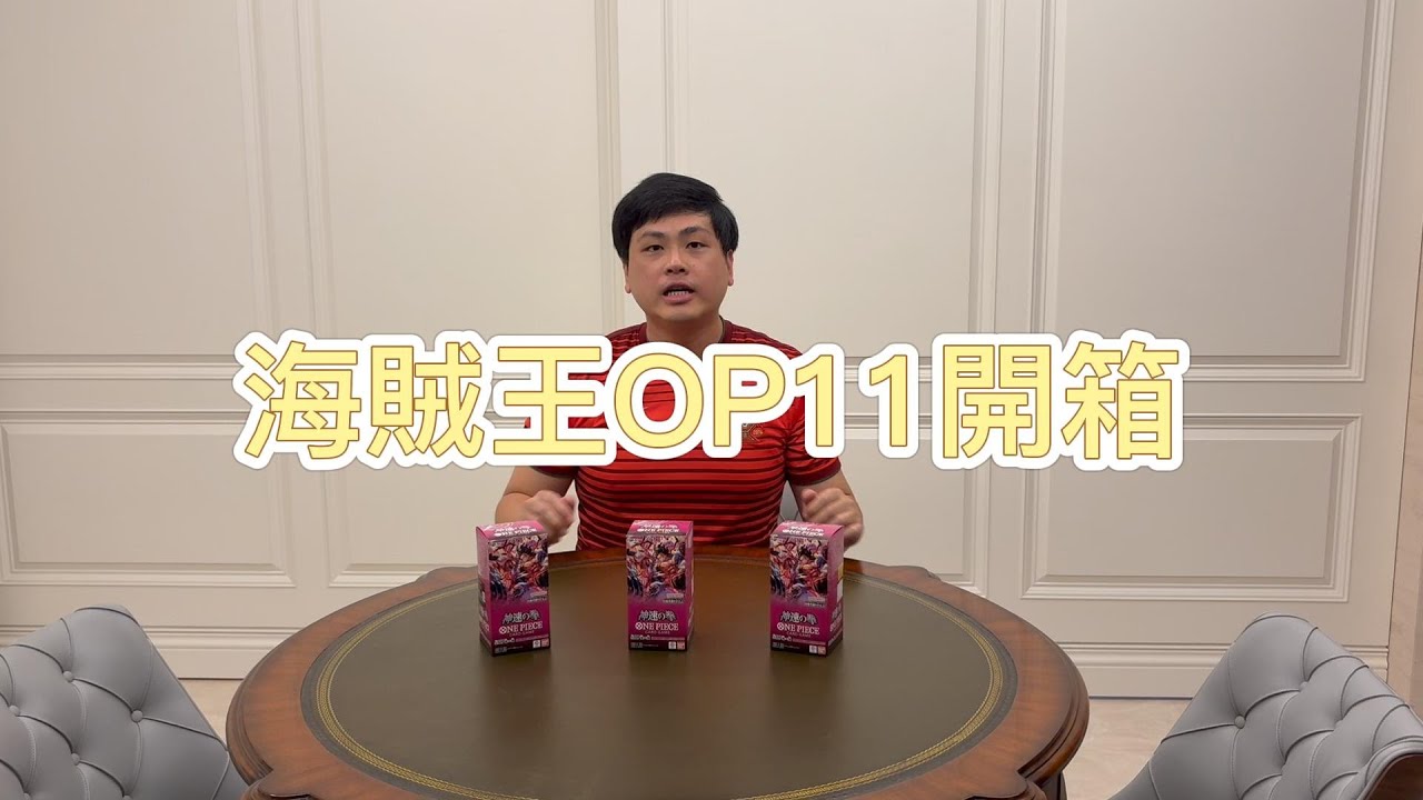 海賊王 OP11 神速之拳 開箱