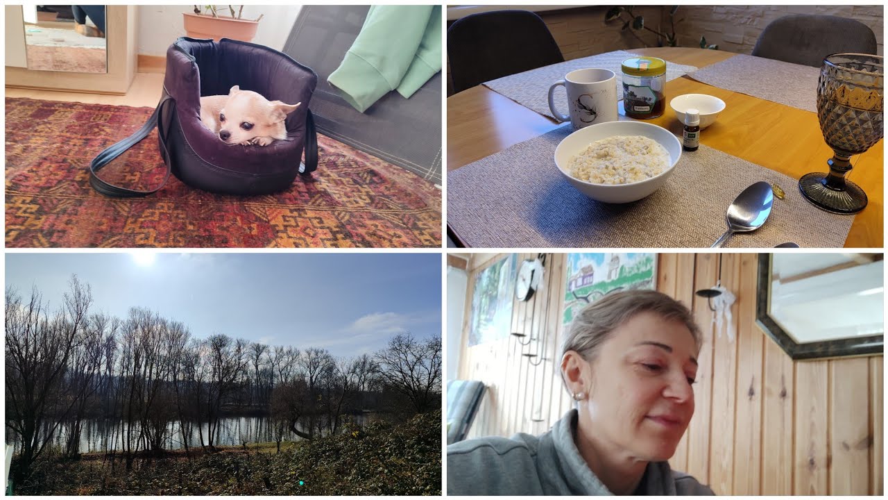 Vlog🇩🇪🇰🇿дачный участок в Германии/гнёзда для голубей/спорт/20.02.26#нашажизньвгермании#дача#влог