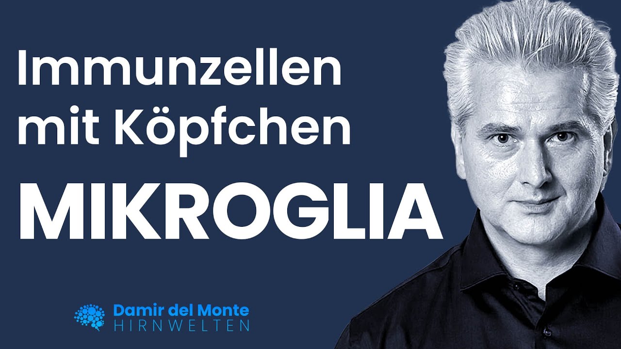 Immunzellen mit Köpfchen – MIKROGLIA | Dr. Dr. Damir del Monte | HIRNWELTEN
