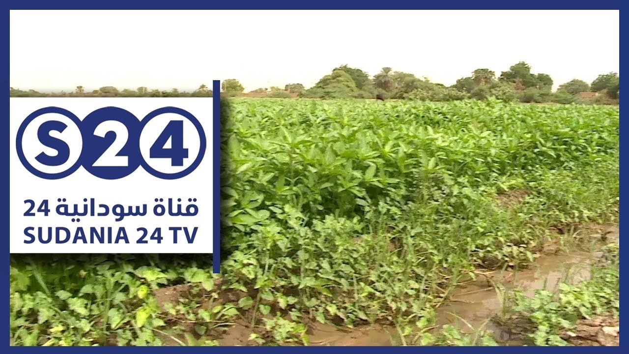 (التقانة الزراعية والإرشاد الزراعي والزراعة الحديثة) - صوت الأرض
