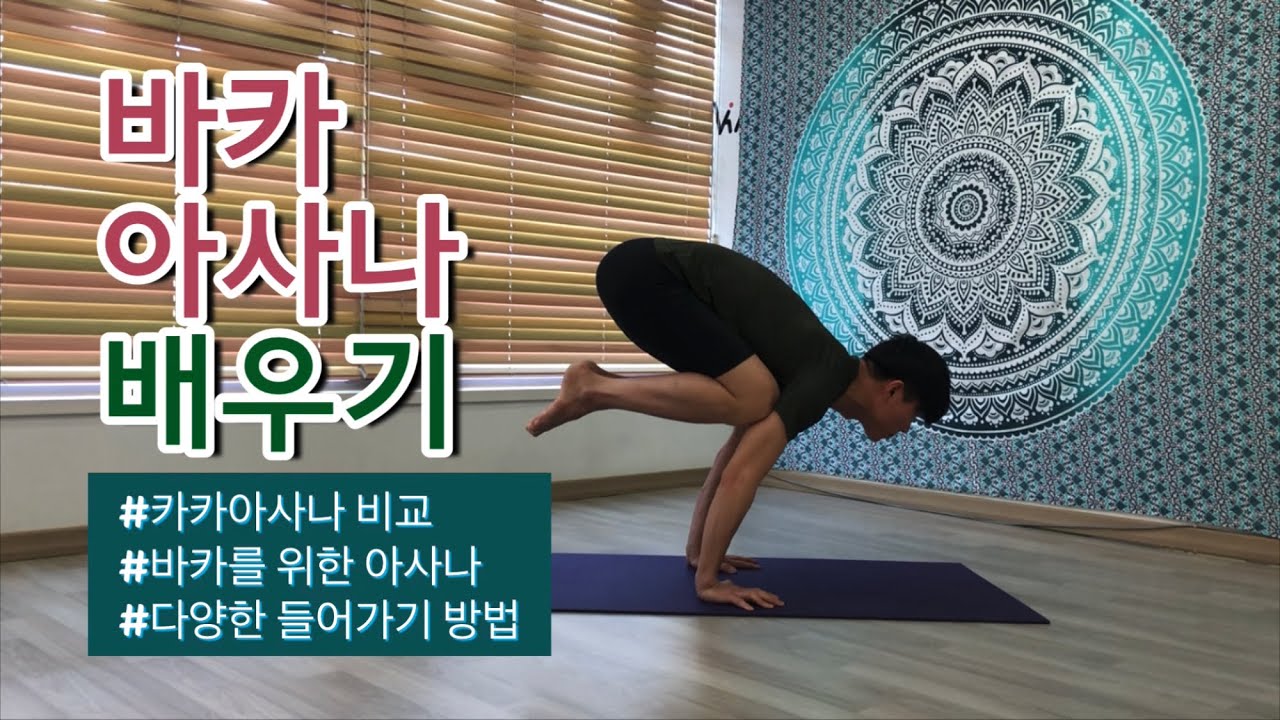 바카아사나 배우기/두루미자세/까마귀자세/암밸런스자세