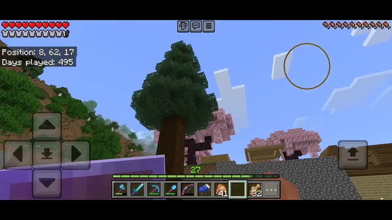 minecraft survival day 496