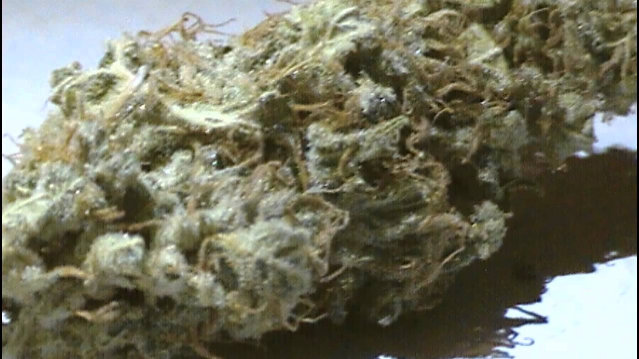 BEAUTIFUL BUD STRAINS