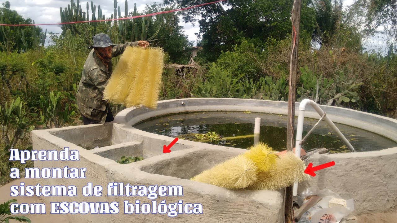 APRENDA A MONTAR SISTEMA DE FILTRAGEM COM ESCOVA BIOLÓGICA, e como adquiri-la de qualidade
