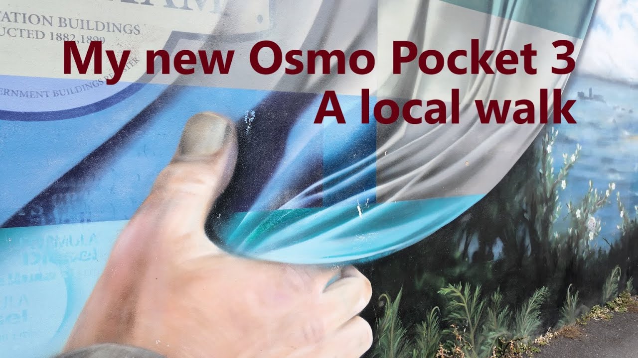 Exploring my new Pocket 3: A Test Walk Through Local Scenes