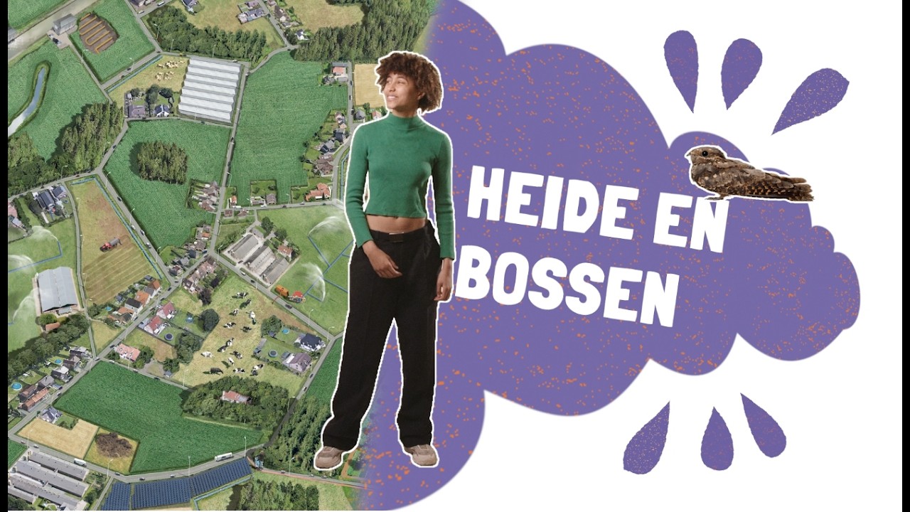 Natuur in het hart - Heide en Bos (Kempen en zandig Vlaanderen)