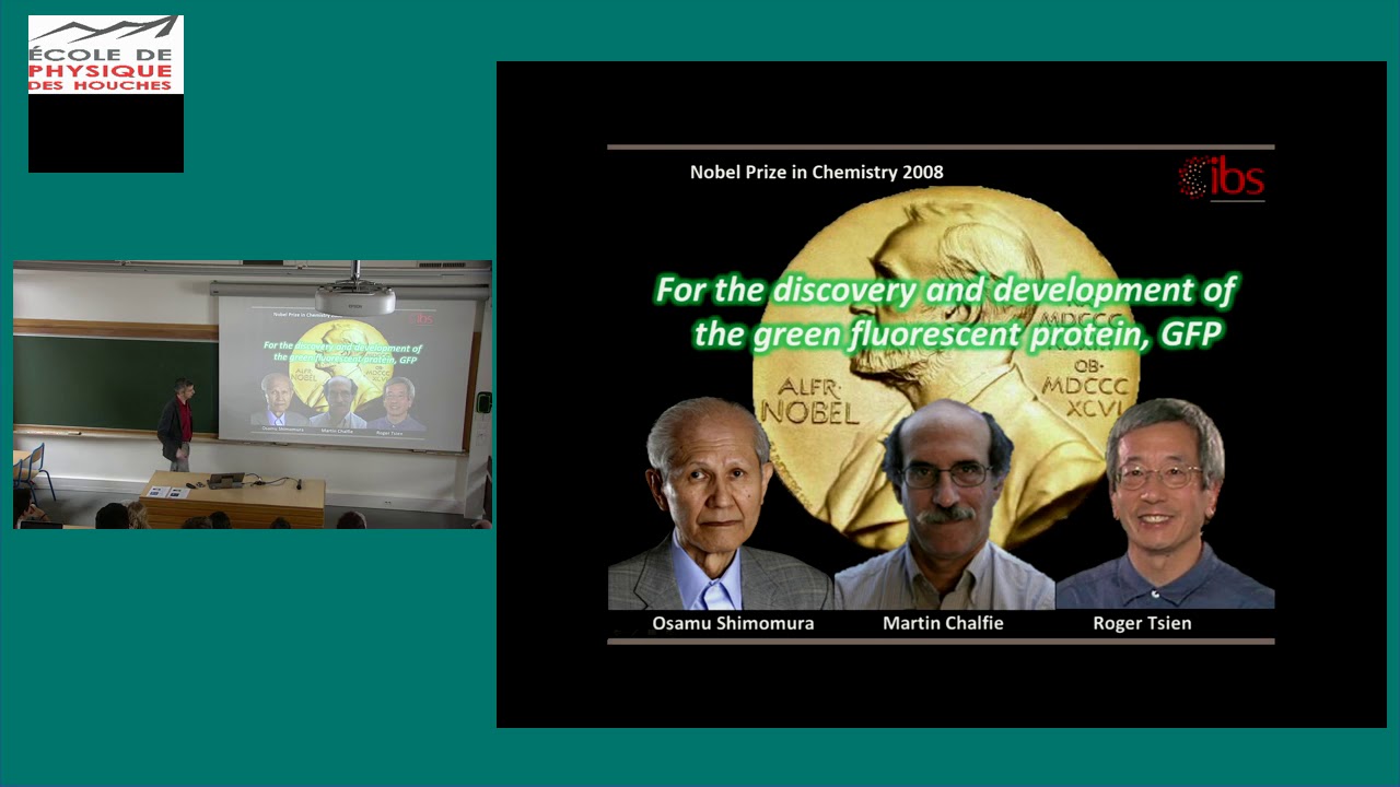 A practical guide to the characterization of fluorescent proteins