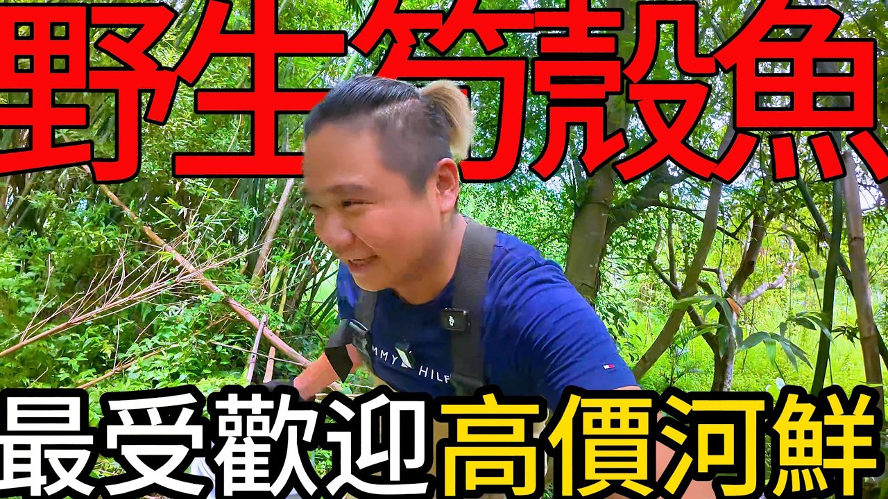 高價最受歡迎的外來入侵種丨活捉野溪野生人間美味!丨活鱉、筍殼魚、大頭鰱通通來~@打魚王翔哥