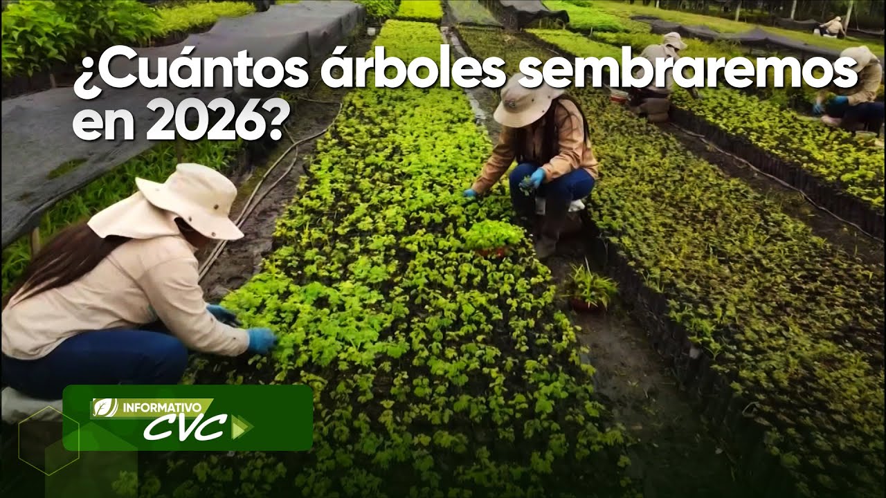 INFORMATIVO CVC Programa 741 21 de enero de 2026