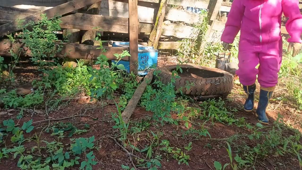 Olá boa noite pessoal Hoje fizemos a tal do resgate da manqueira será que vale apena fazer esses res