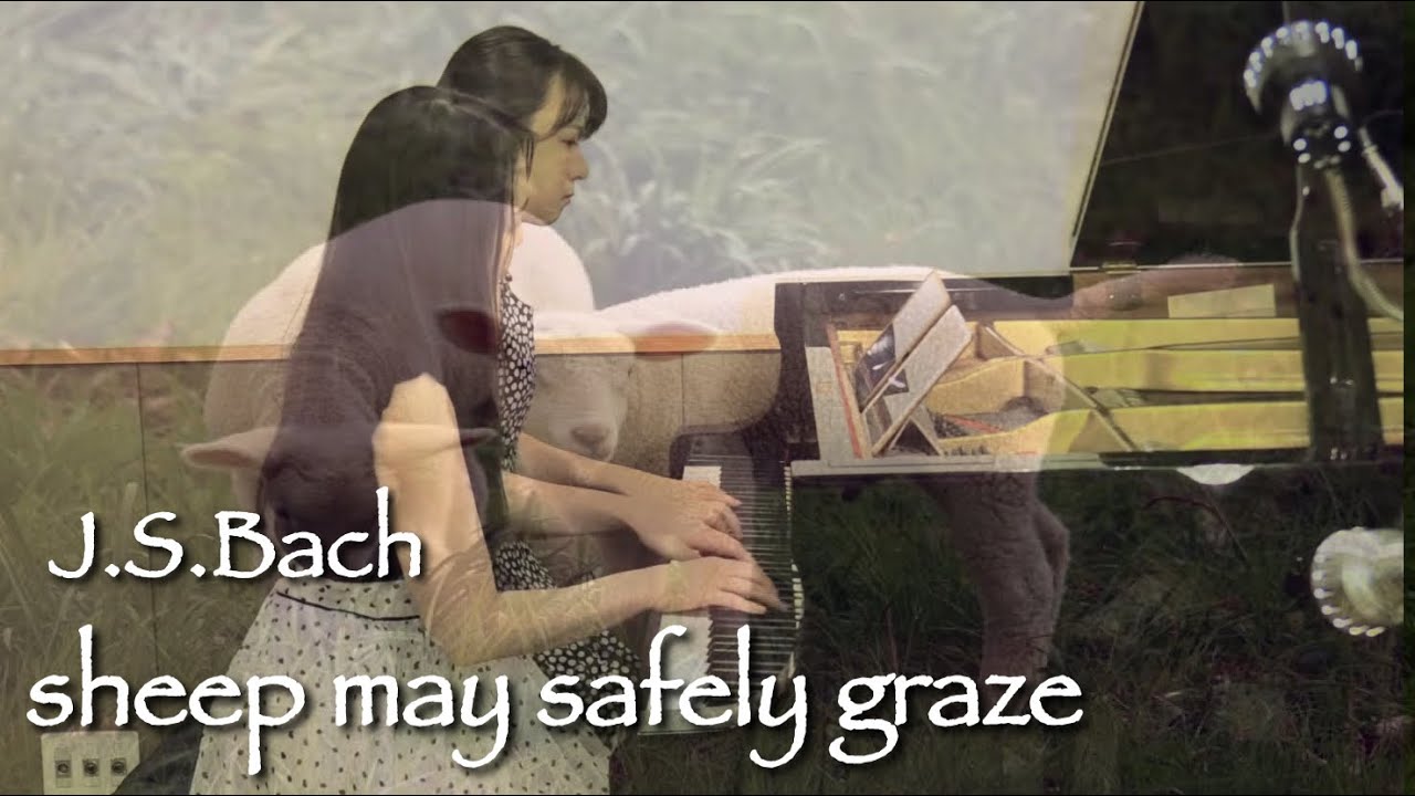 J.S.バッハ【羊は安らかに草を食み】/ピアノ連弾/カンタータ/Sheep May Safely Graze /BWV 208-9/4hands #もっと世界に音楽を  #ミュージション
