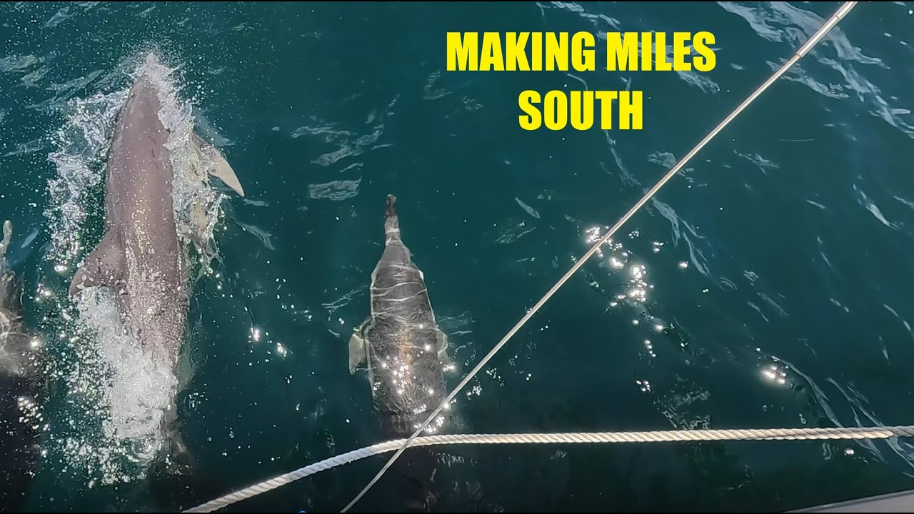 Coffs to Port Stephens via Beautiful Port Macquarie - Episode 27