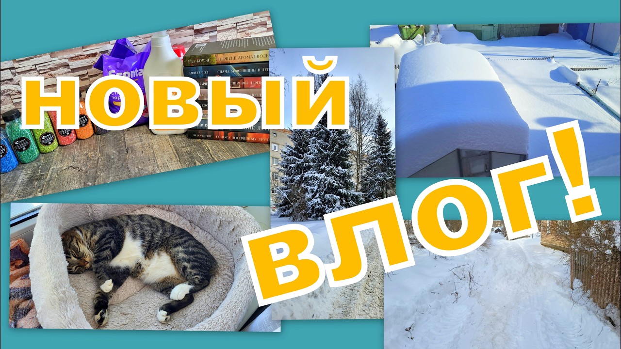 ВЛОГ:  ЗАМЕЛО, МНОГО КНИГ В  ПОКУПКАХ (выгодно), ДЕЛА ПУШИСТЫЕ,  ВЫХОДНЫЕ!