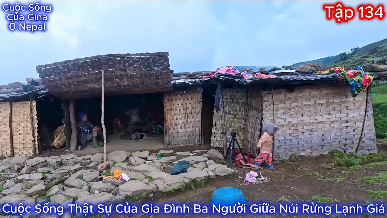 GINA Tập 134 - Cuộc Sống Thật Sự Của Gia Đình Ba Người Giữa Núi Rừng Lạnh Giá