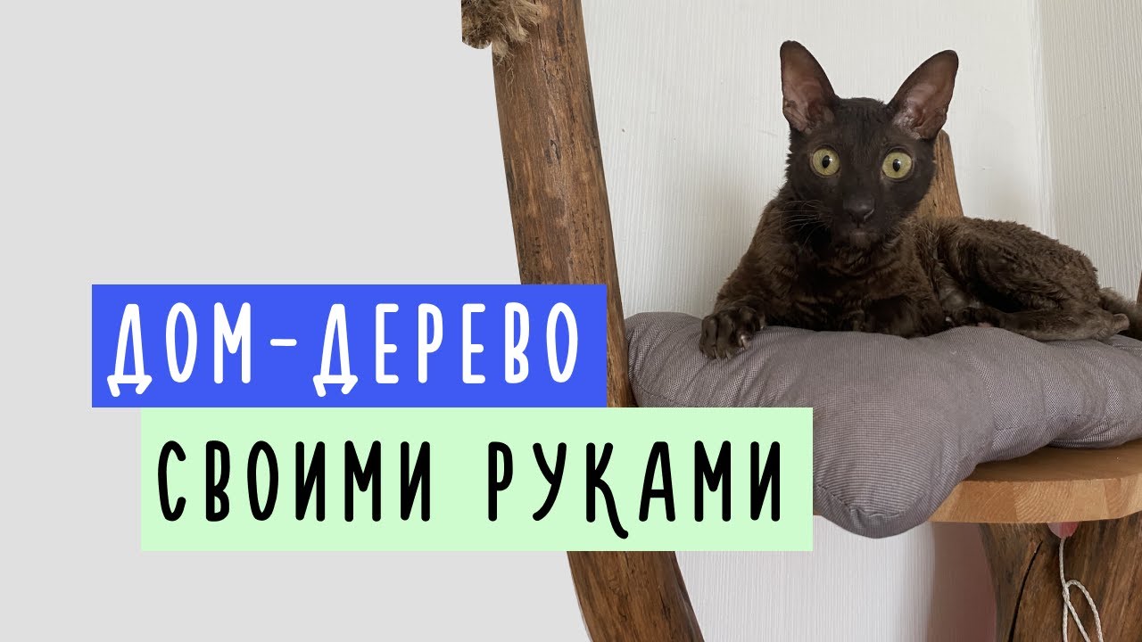 DIY Домик дерево для кота / когтеточка своими руками