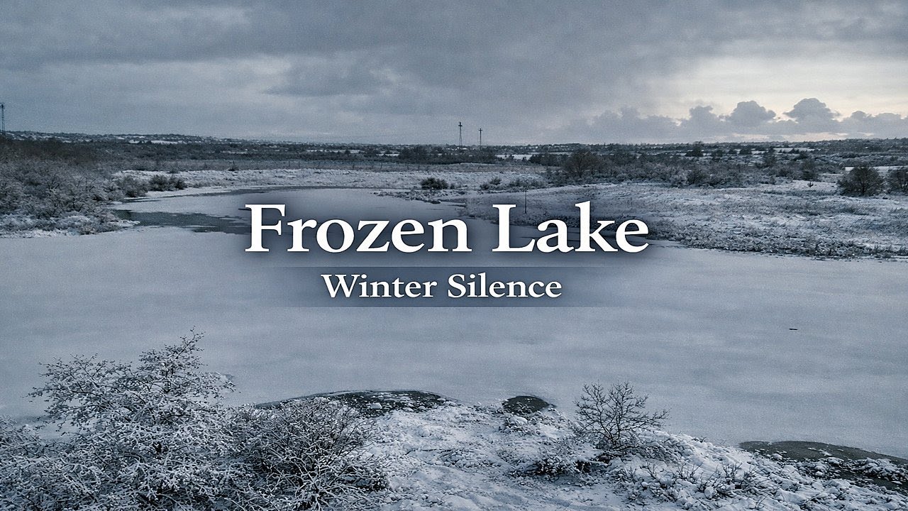 Frozen Lake | Winter Silence