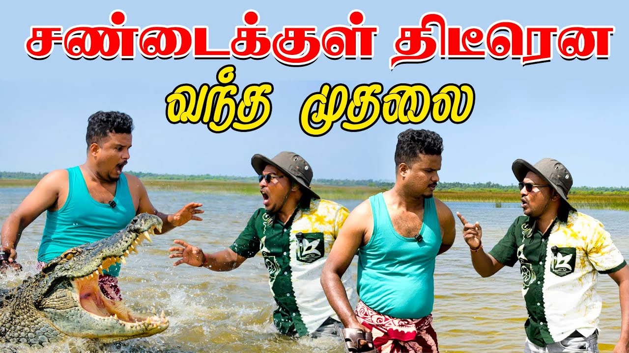 திடீரென சண்டைக்குள் புகுந்த முதலை | Akkuddiyum pichumaniyum / jaffna comedy #tamilcomedy
