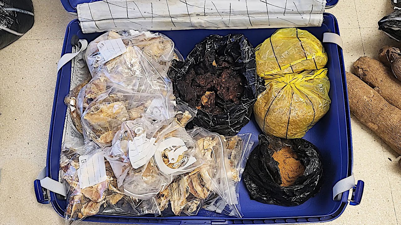 BEFORE YOU TRAVEL ABROAD WITH NIGERIAN FOOD | Flo Chinyere